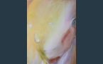 Bewilderment, 2015, acrylic paint on canvas, 60 x 80 cm